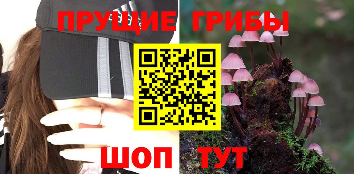 Псилоцибиновые грибы Cubensis Белгород